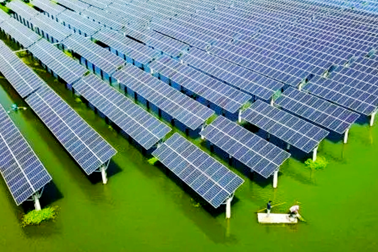 Ϫ8MW⻥վ