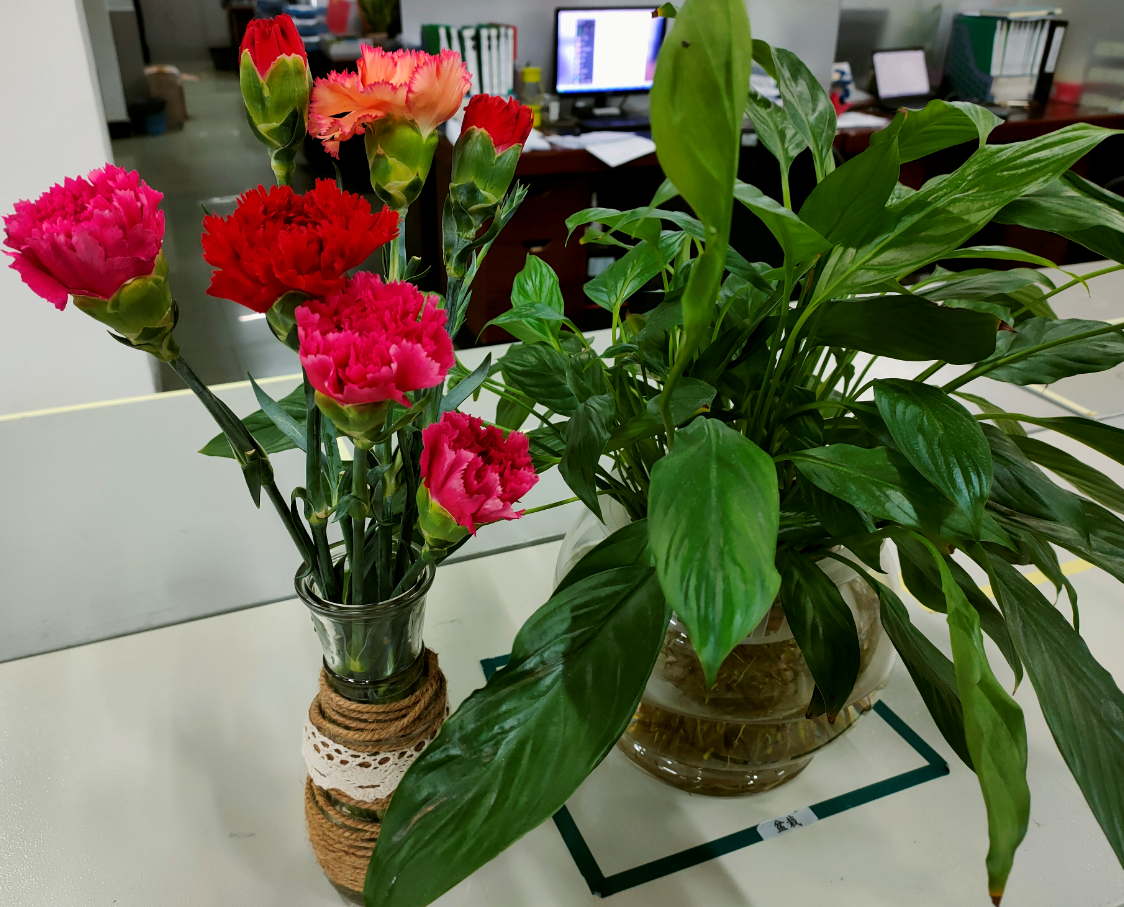 首页- 南宫NG28集团娱乐官方网站